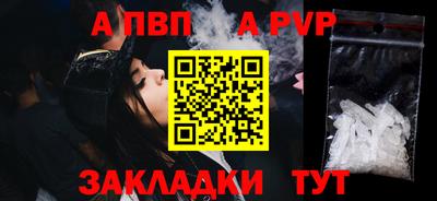 индика Кингисепп
