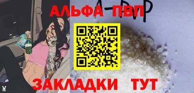 индика Кингисепп