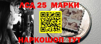 индика Кингисепп