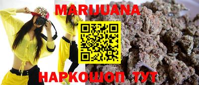индика Кингисепп