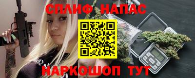 индика Кингисепп