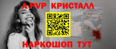 индика Кингисепп