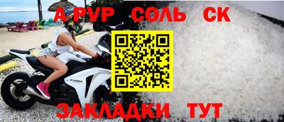 индика Кингисепп